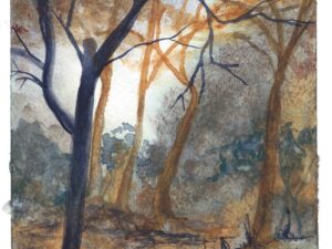 Grey Woods