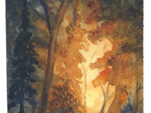 Deep Path Giclee Print